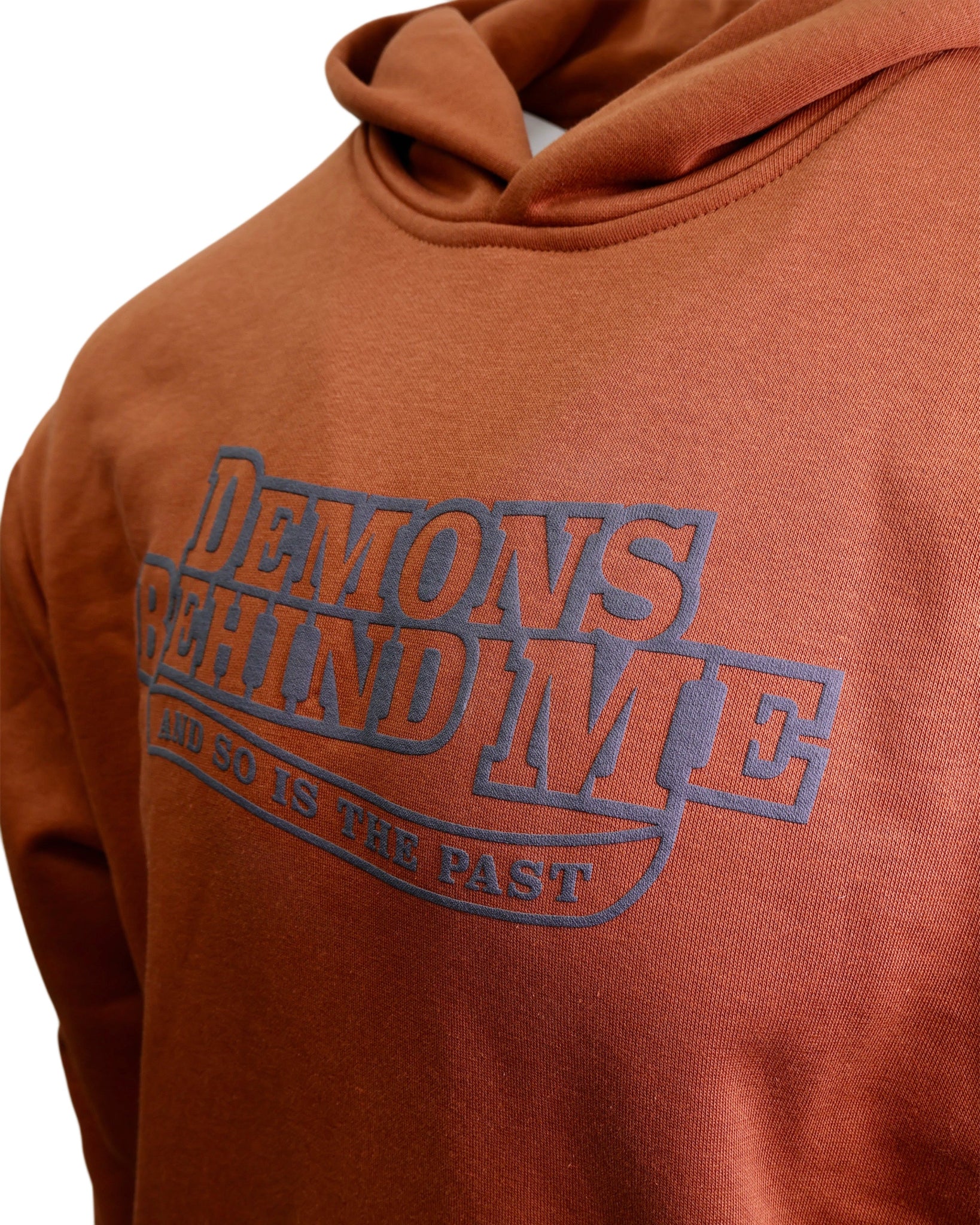 Super Premium Unisex Heavyweight Fleece Hoodie w/3D Puff Printing